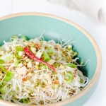 START!_bean_sprouts_recipe-hotcurrysauce.com