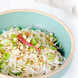 START!_bean_sprouts_recipe-hotcurrysauce.com